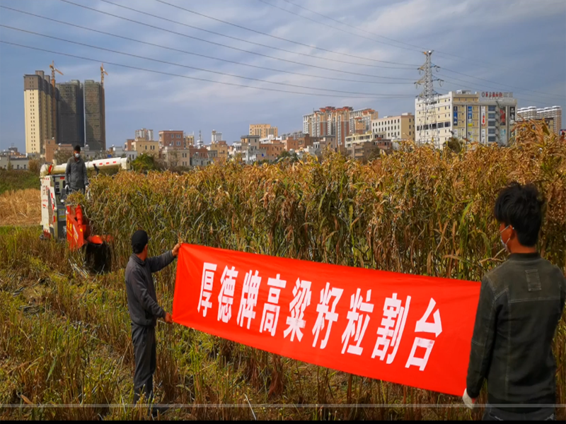 ُ(gu)I(mi)r(nng)C(j)ĸЧSo(h)