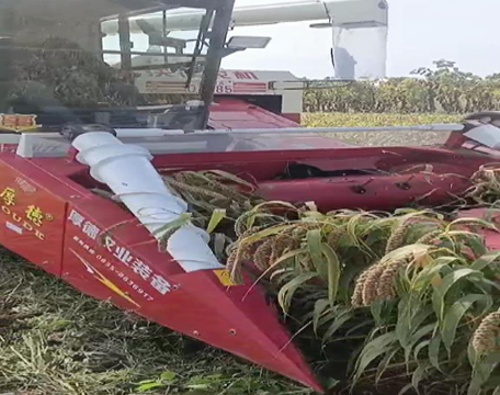 _(ti)F(xin)(chng)ҕl